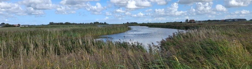 Weite Polderlandschaft in Nordholland